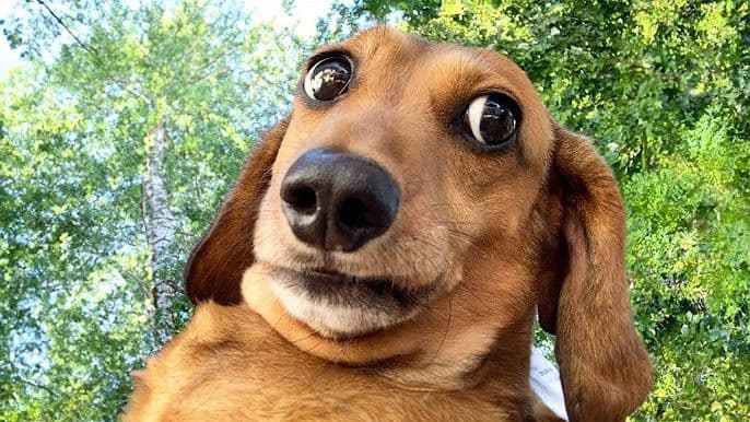 image for Data engineers - Oslo